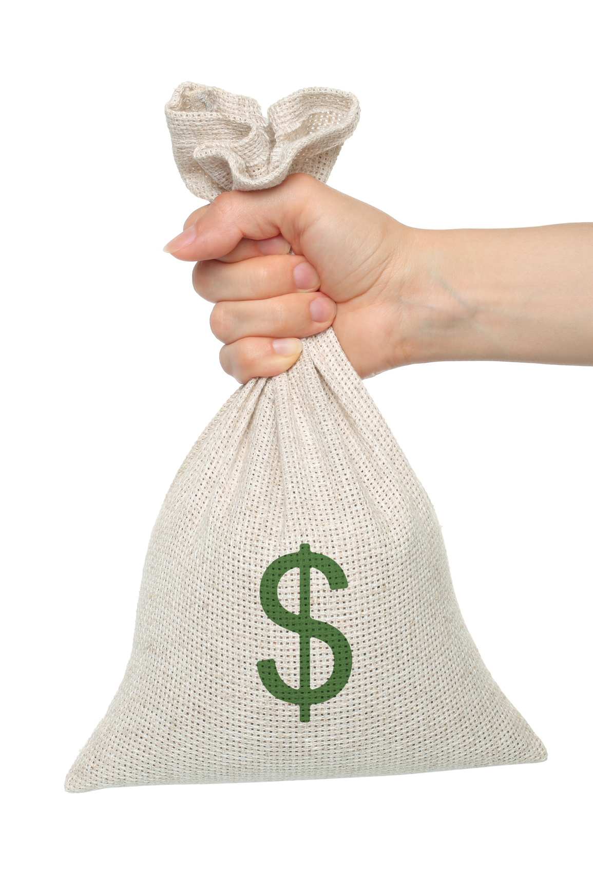 hand holding money bag